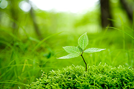 院情報・アクセス